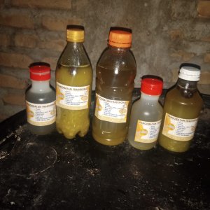 Pengobatan tradisional